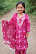 Charming Pink Lucknowi Embroidered Suit Set